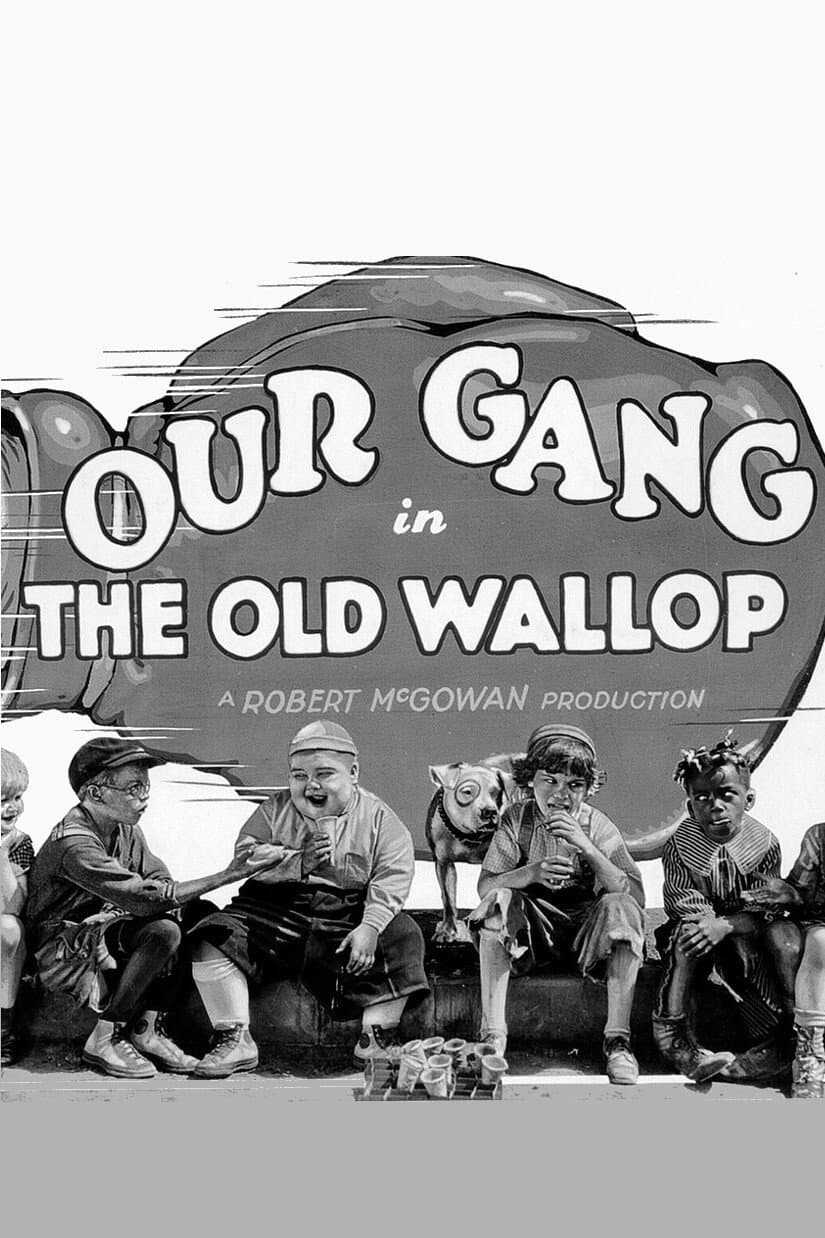 The Old Wallop photo