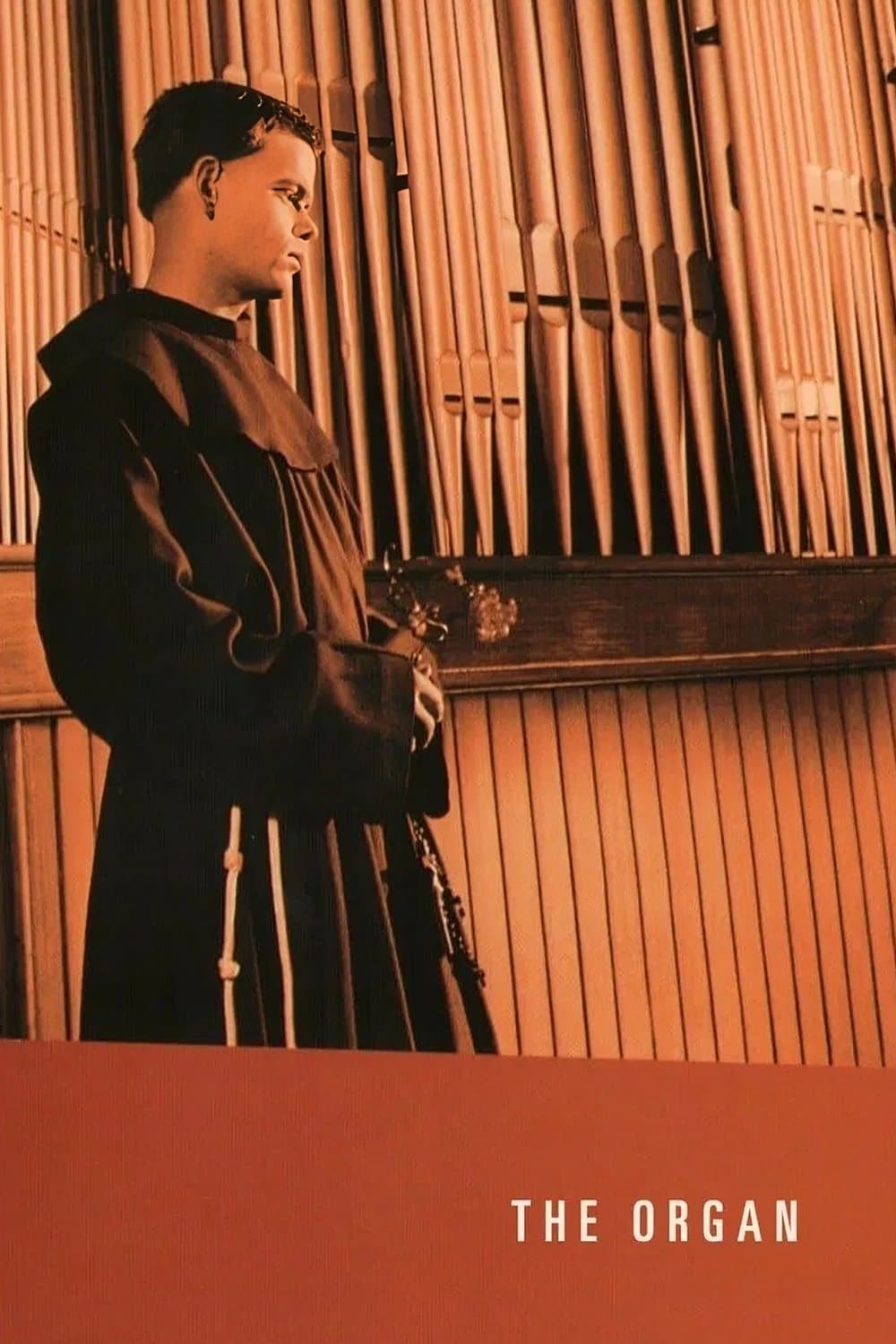 The Organ photo