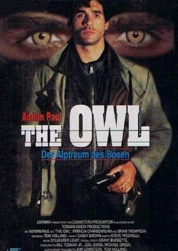 The Owl photo