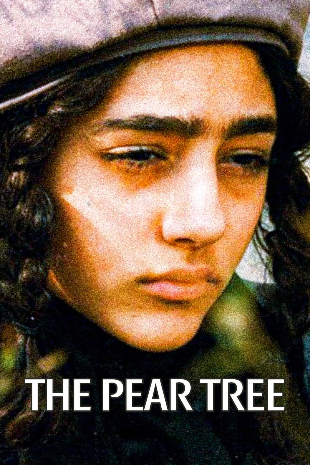 The Pear Tree photo