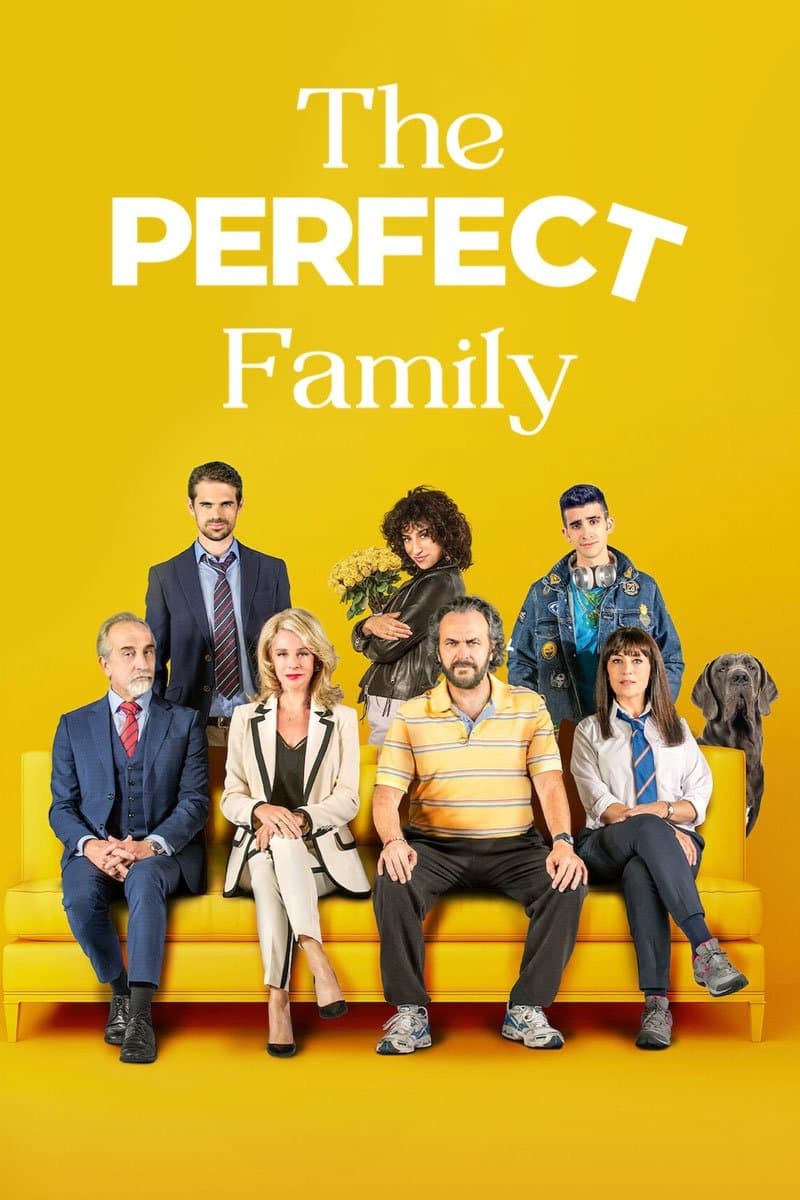 The Perfect Family photo