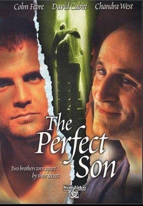 The Perfect Son photo