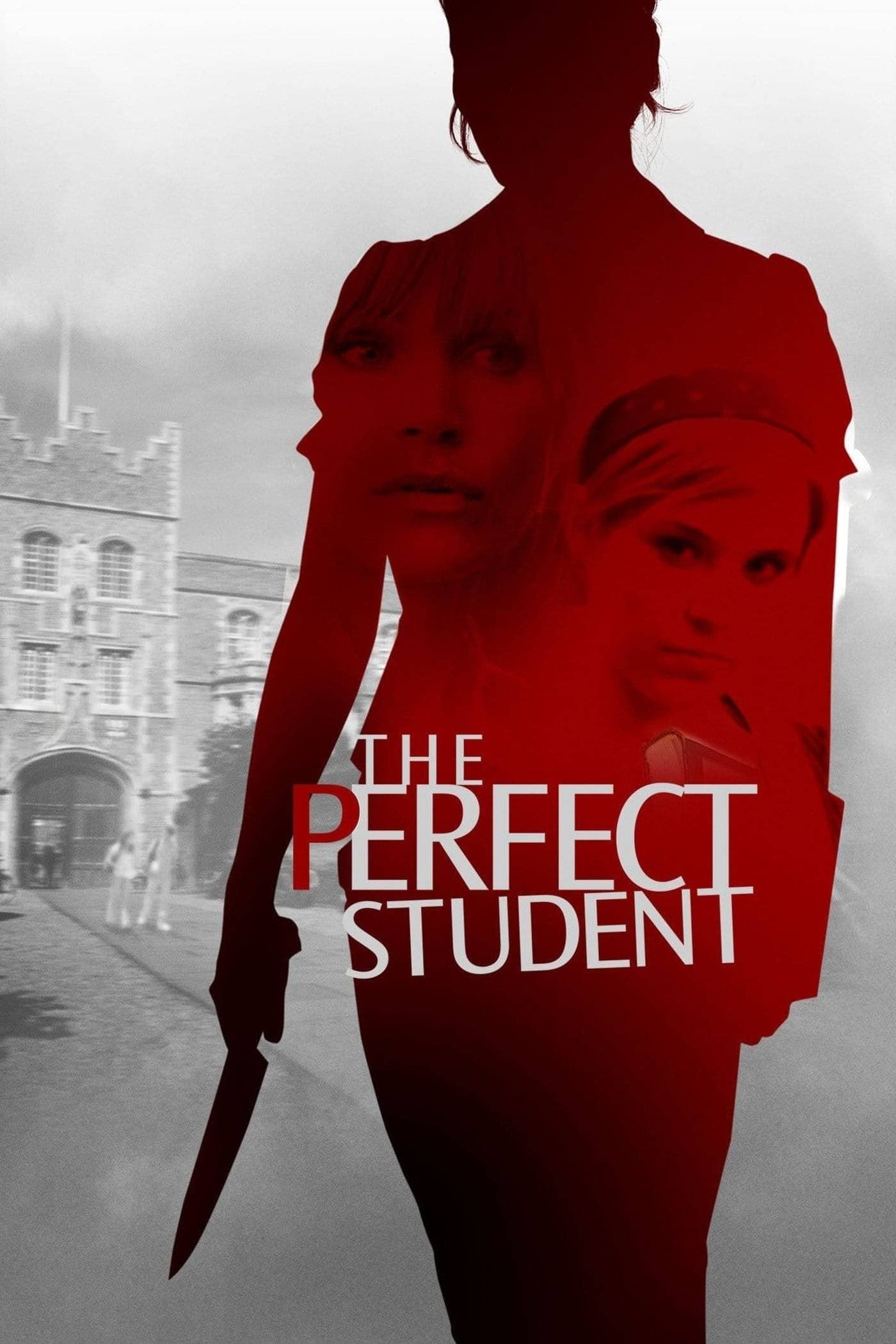 The Perfect Student photo