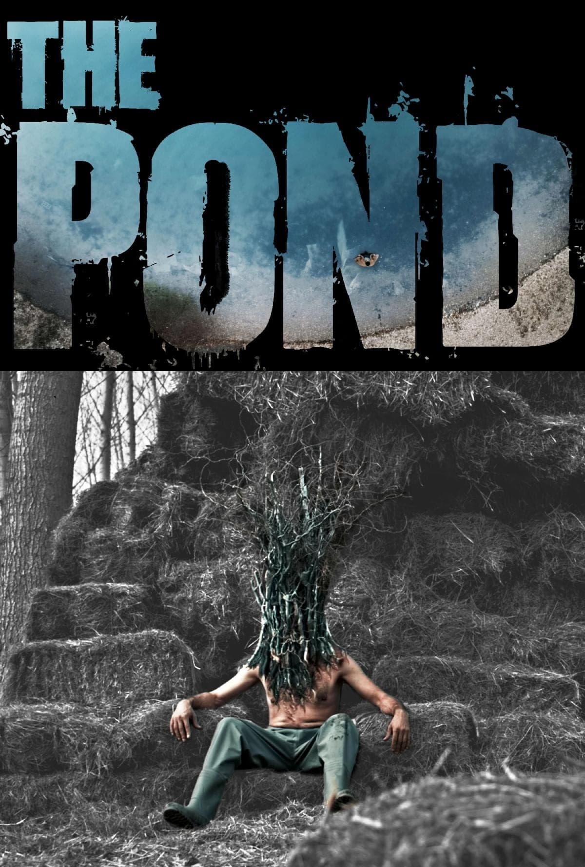 The Pond photo