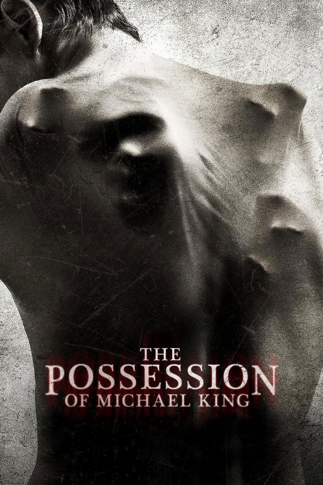The Possession of Michael King photo