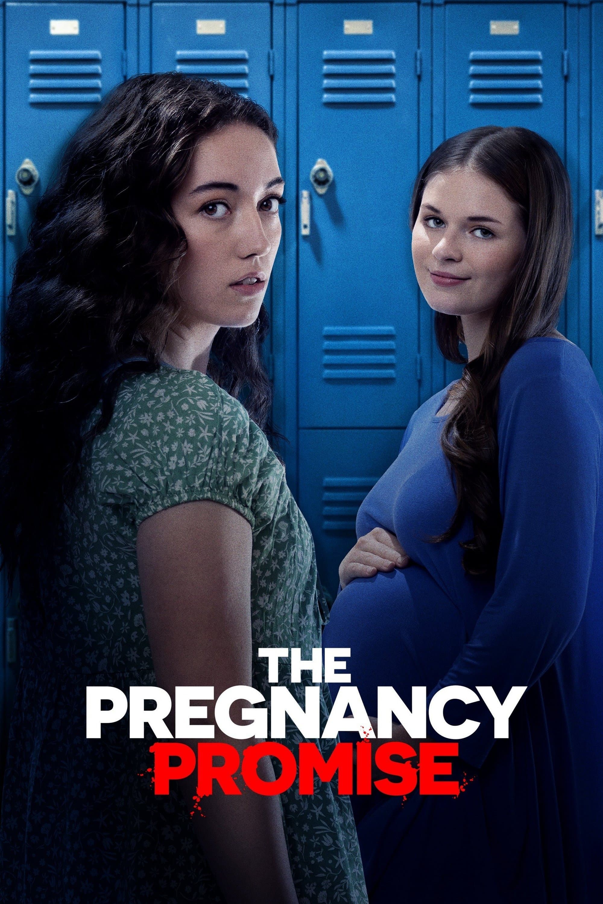 The Pregnancy Promise photo