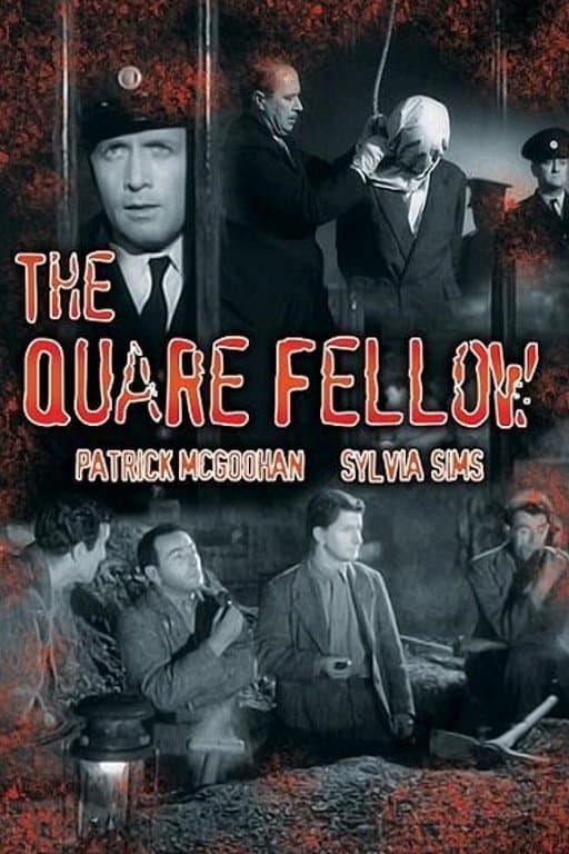 The Quare Fellow photo