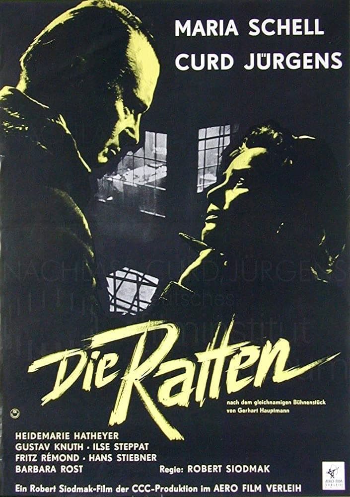 The Rats photo