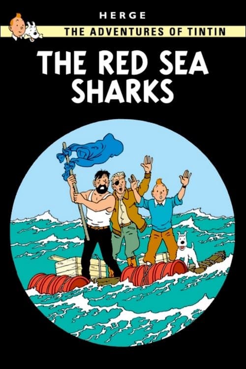 The Red Sea Sharks photo