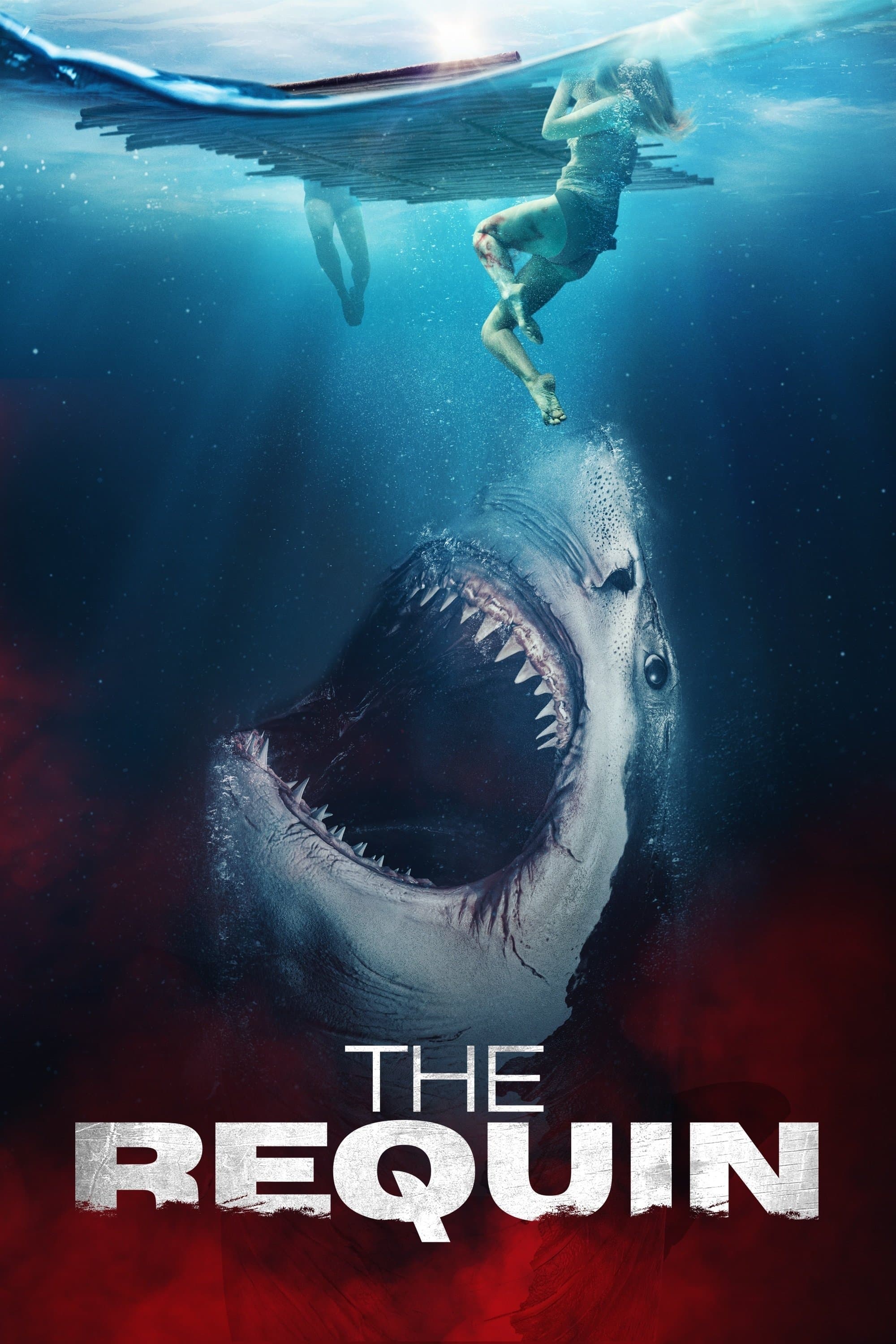 The Requin photo