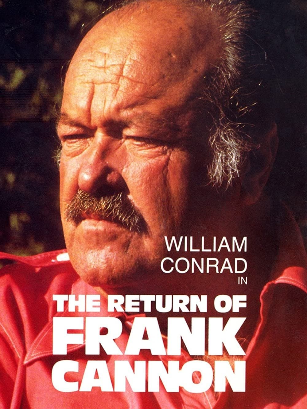 The Return of Frank Cannon photo