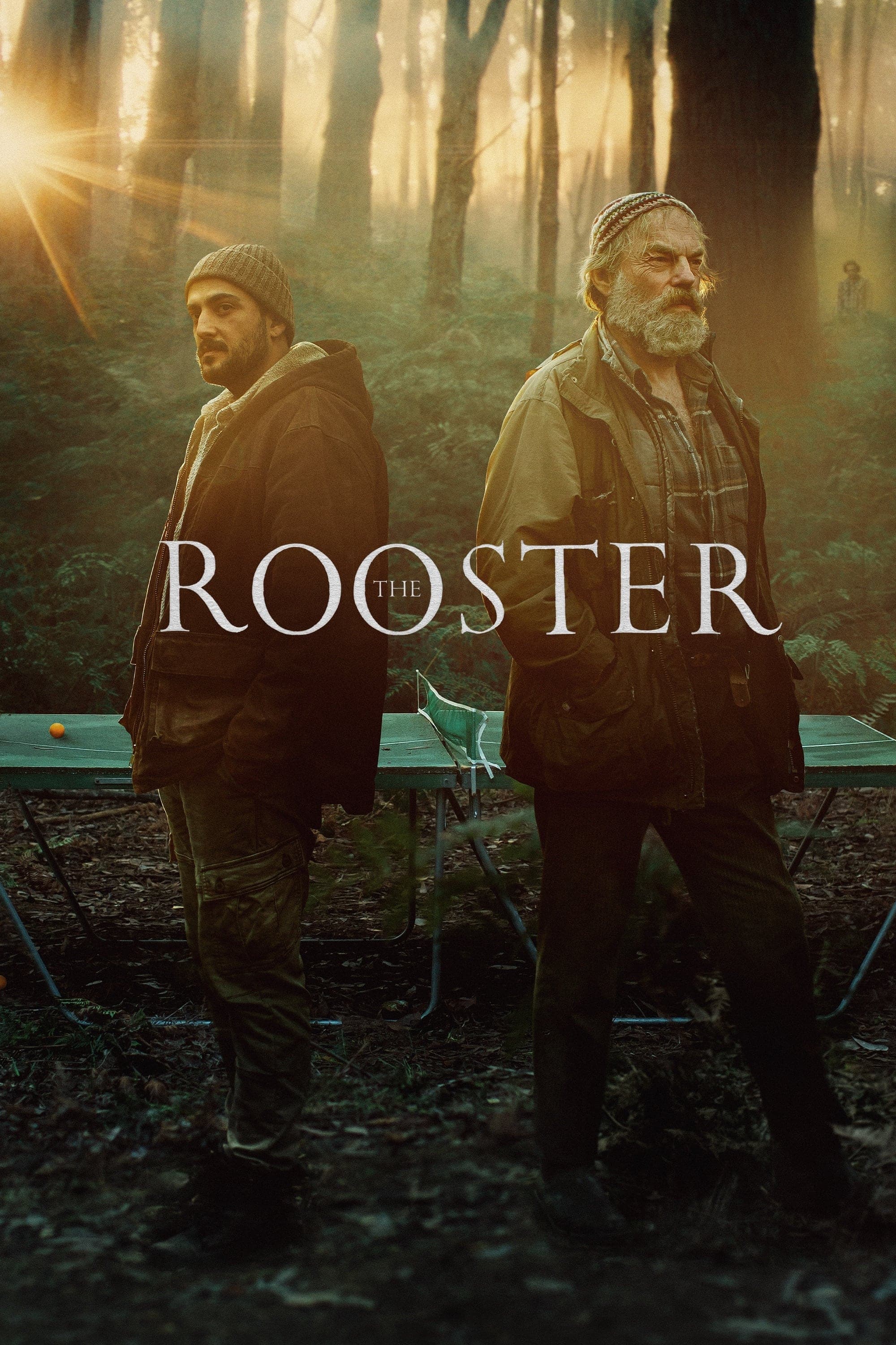 The Rooster photo