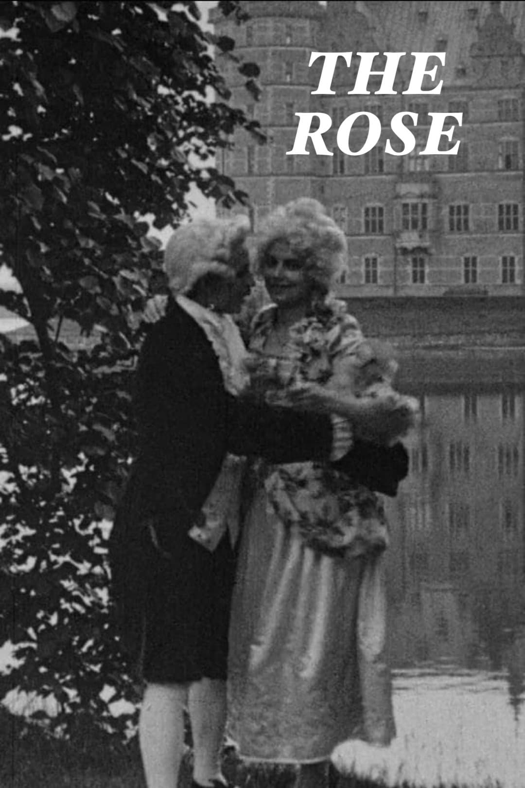 The Rose photo