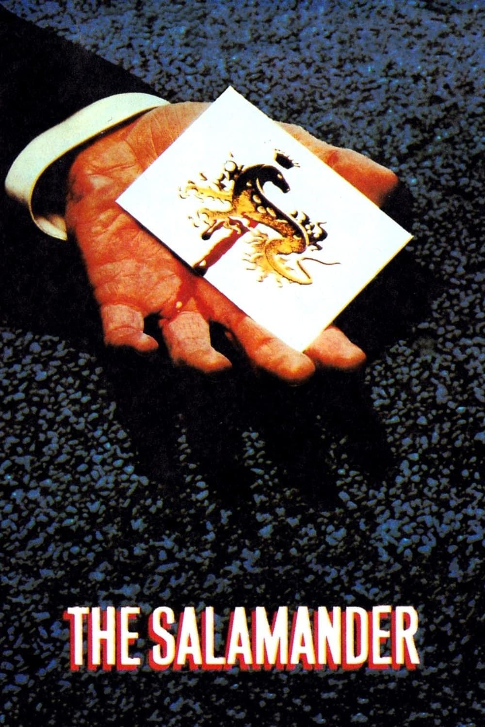 The Salamander photo