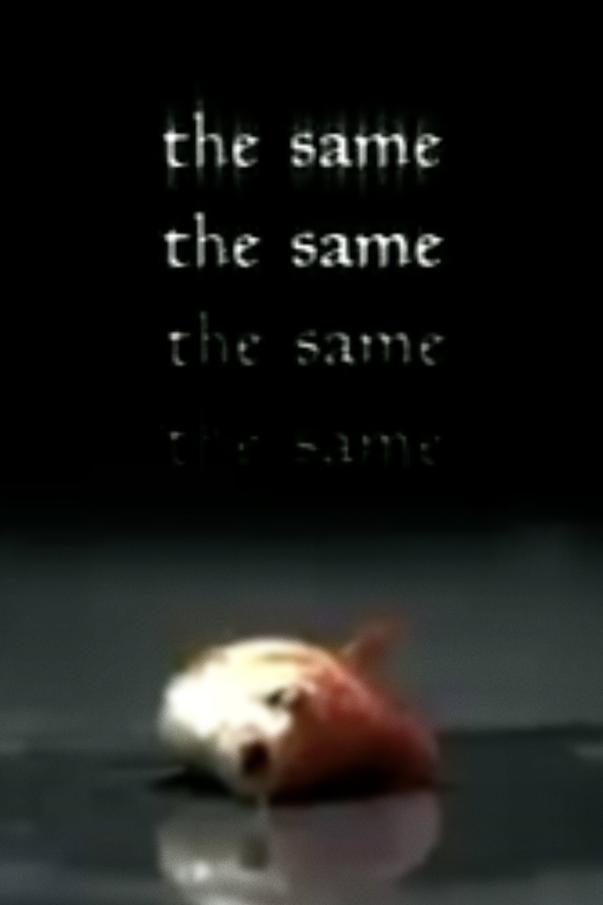 The Same photo