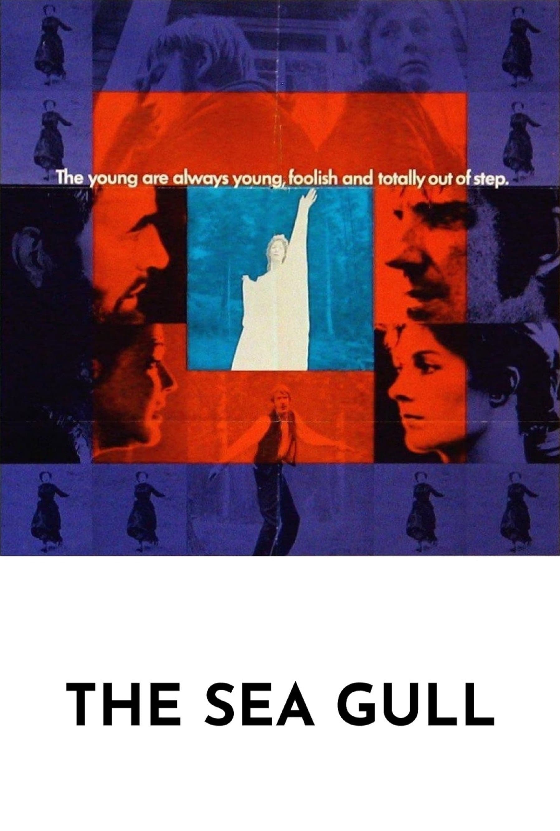The Sea Gull photo
