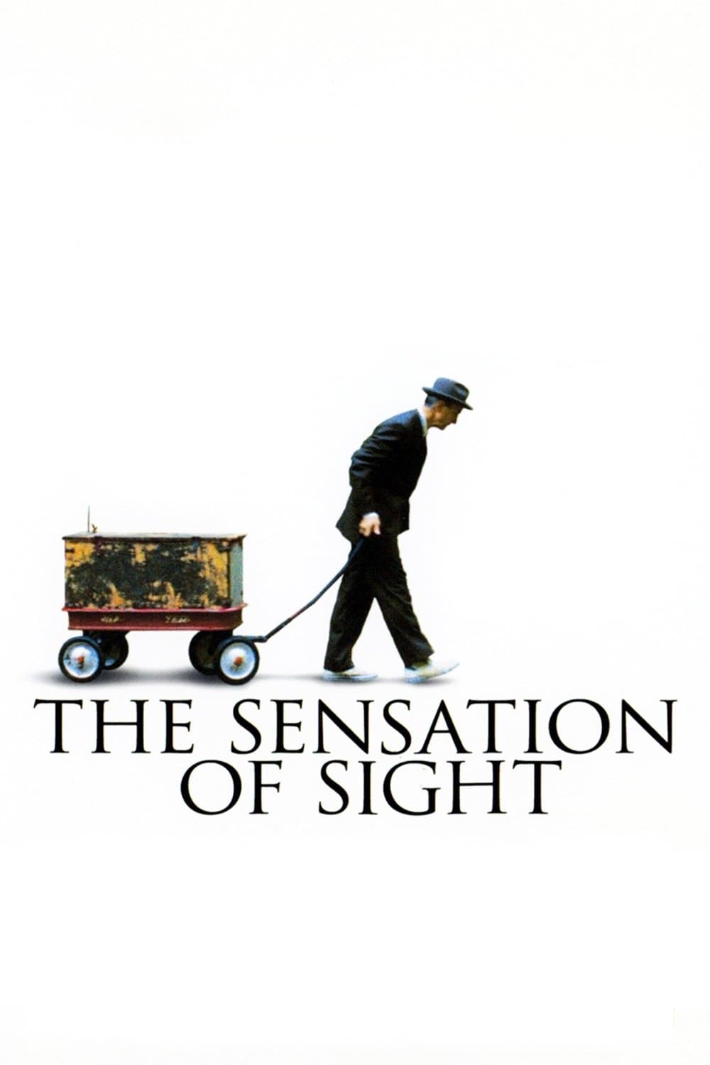 The Sensation of Sight photo
