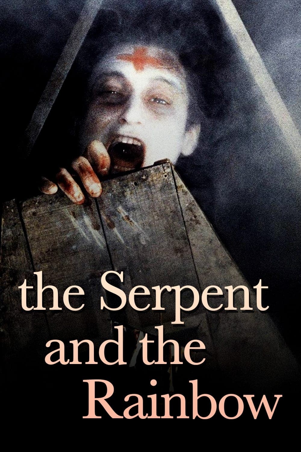 The Serpent and the Rainbow photo