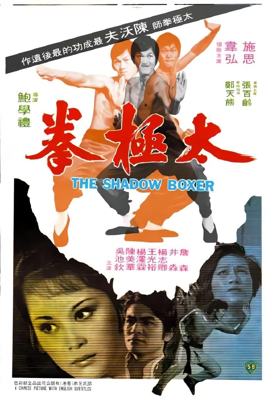 The Shadow Boxer photo