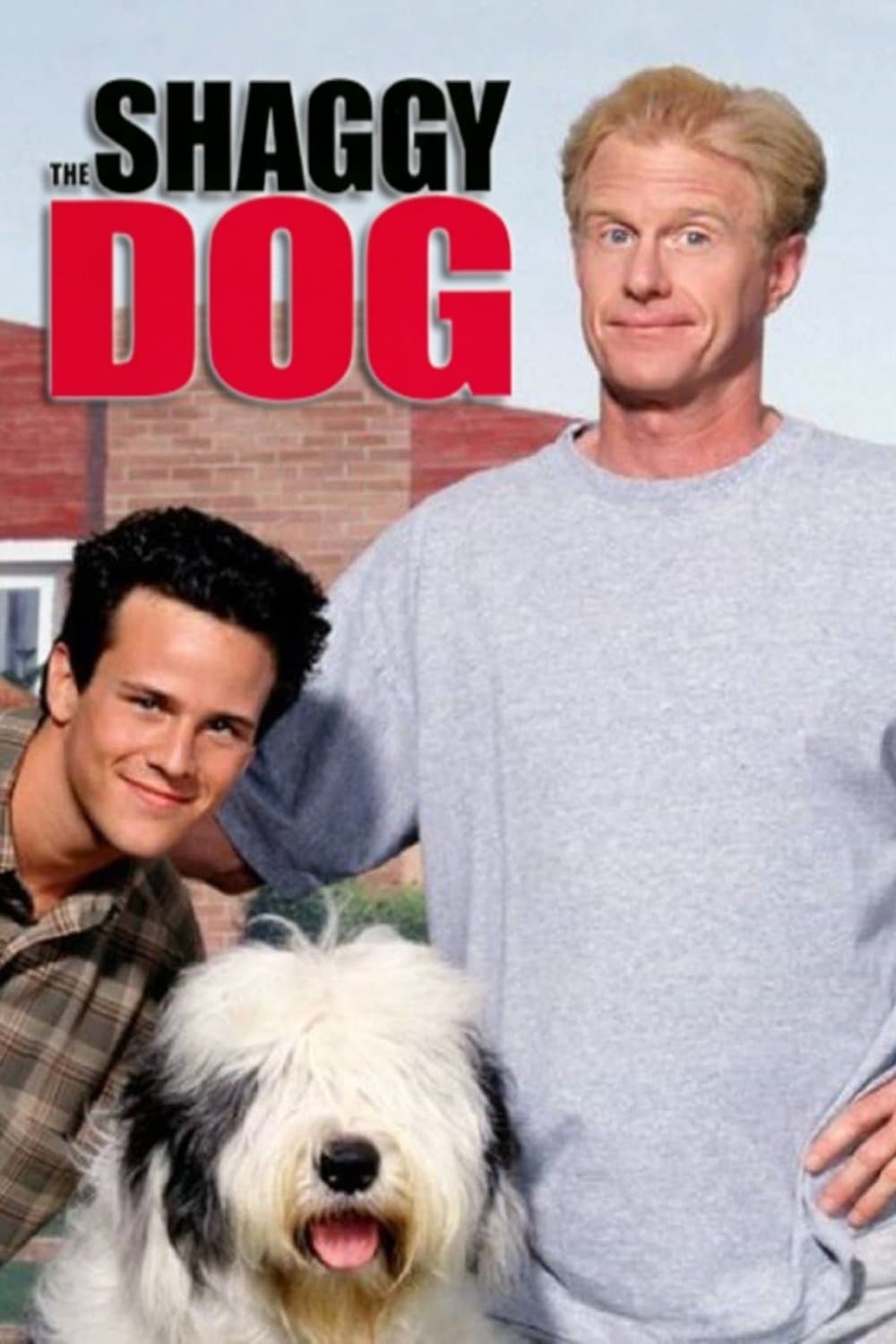 The Shaggy Dog photo