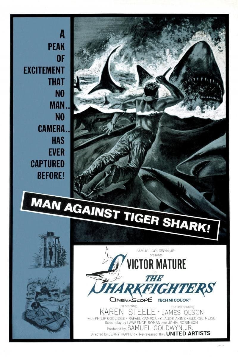 The Sharkfighters photo