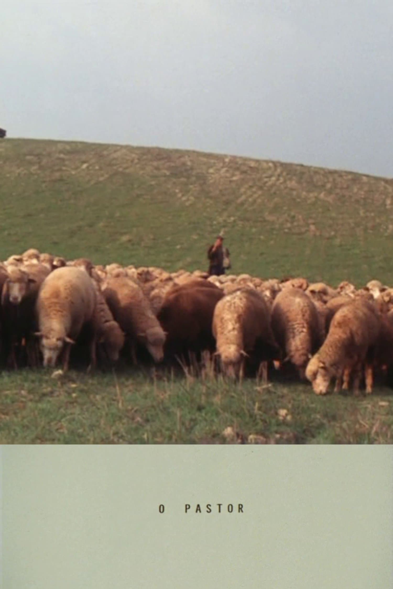 The Shepherd photo