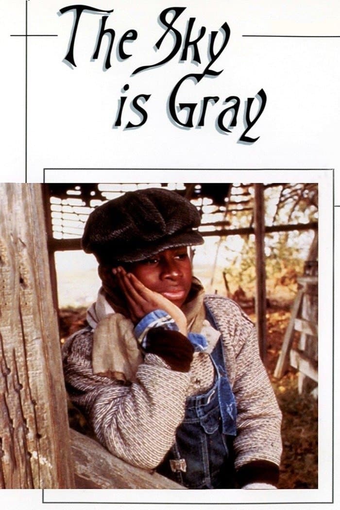 The Sky Is Gray photo