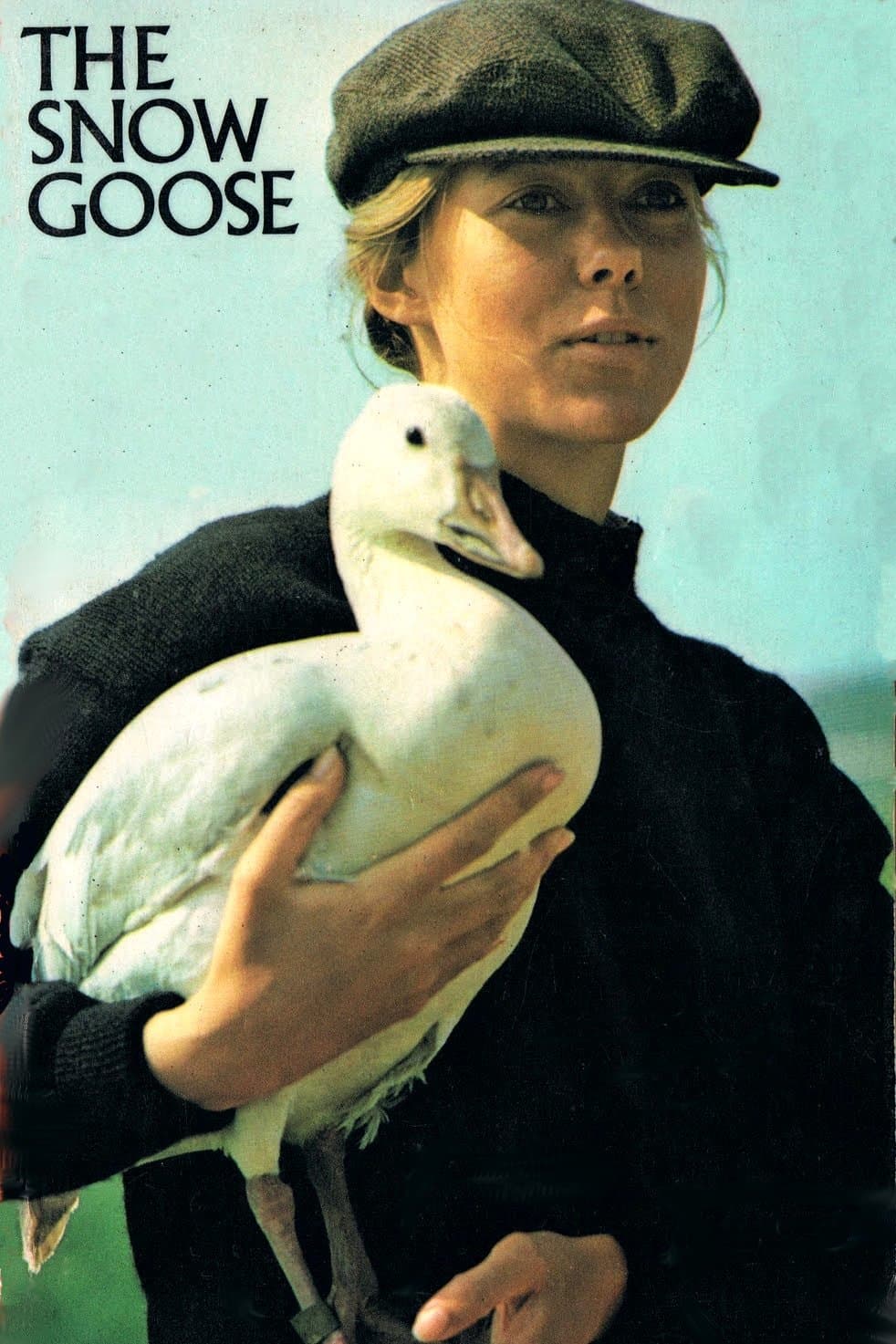 The Snow Goose photo