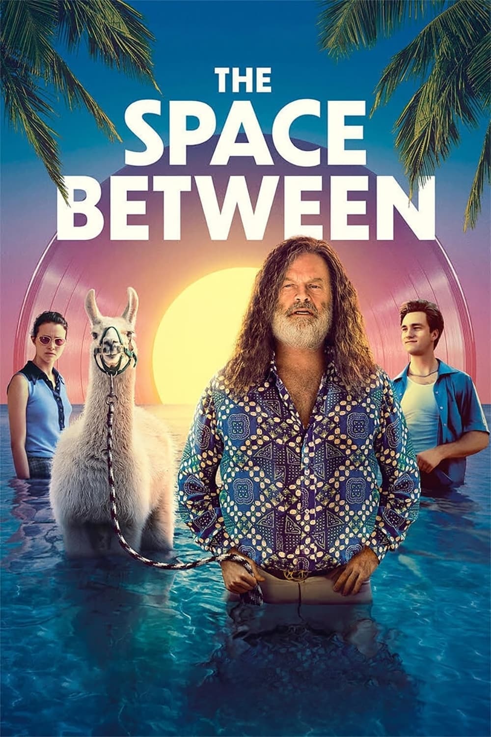The Space Between photo