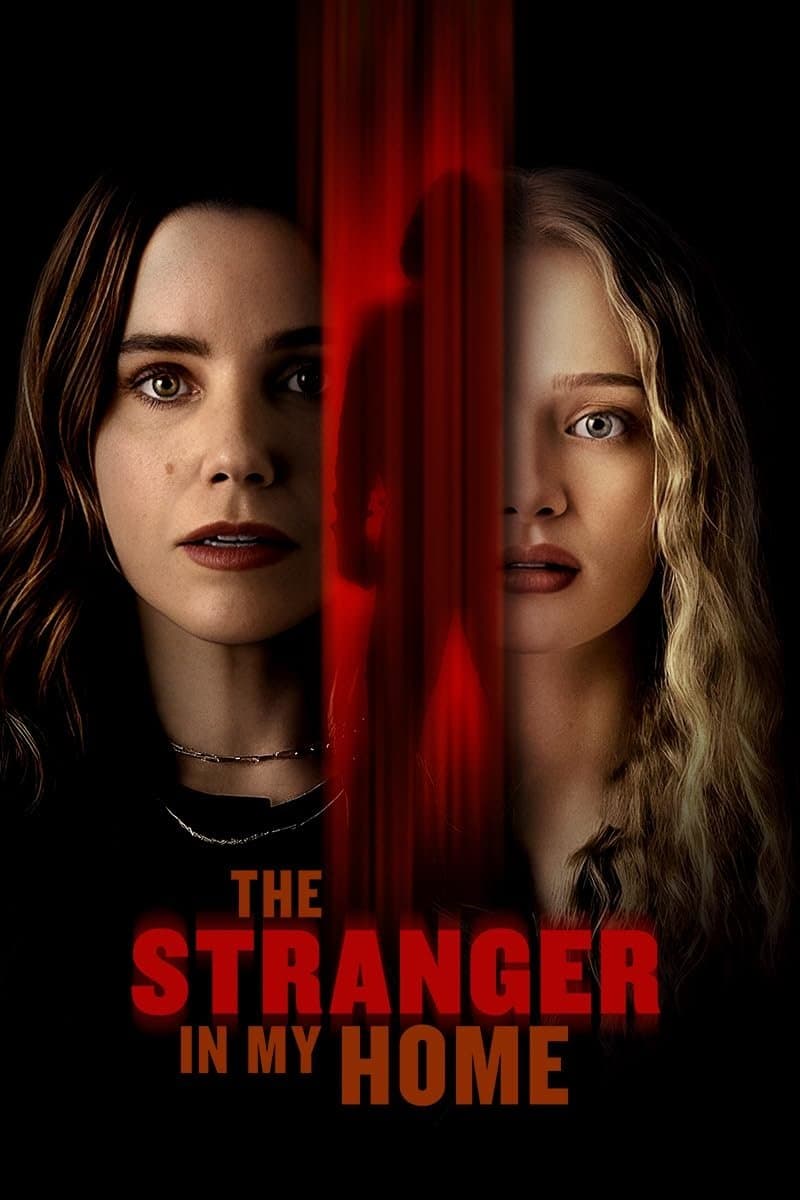The Stranger in My Home photo