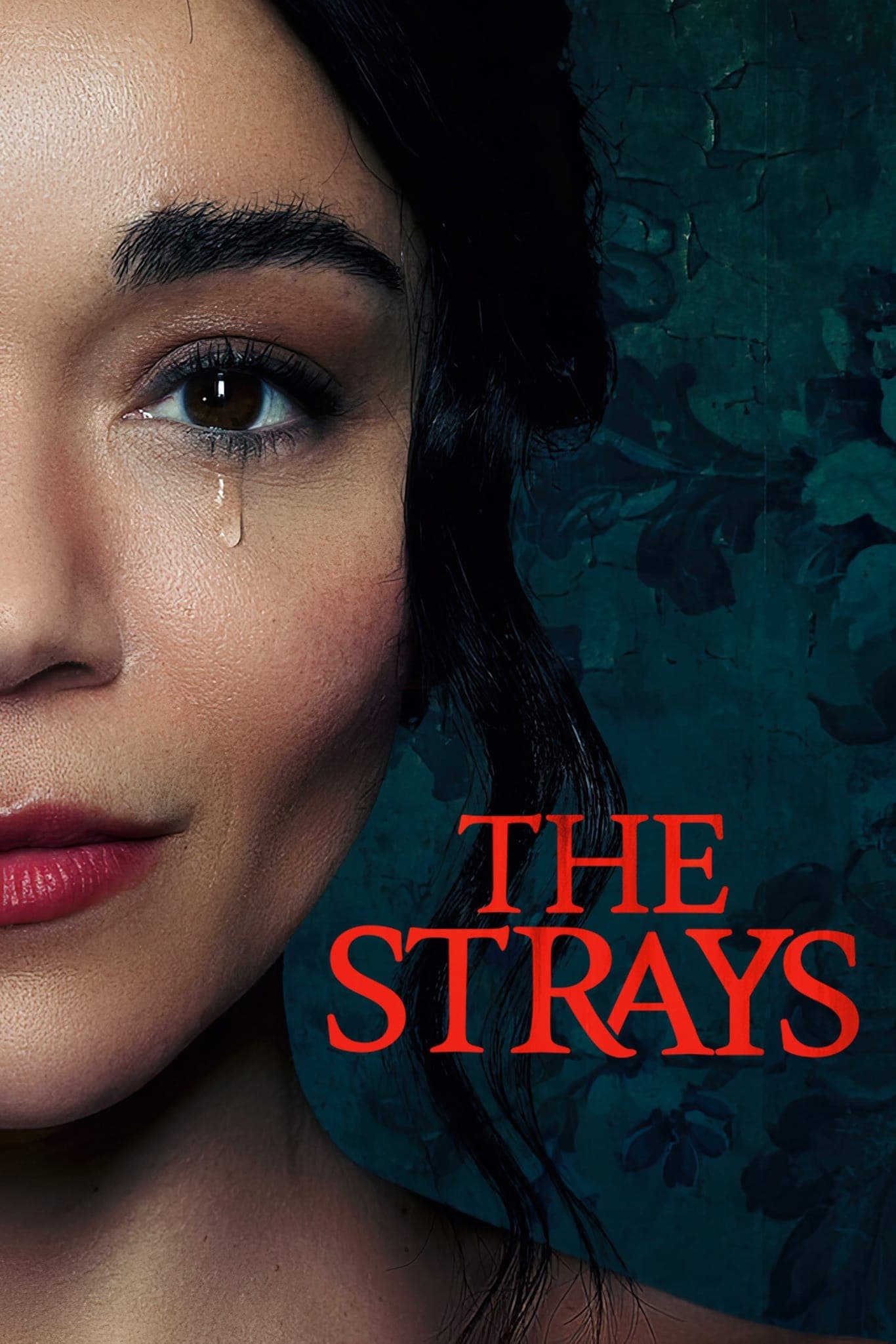The Strays photo