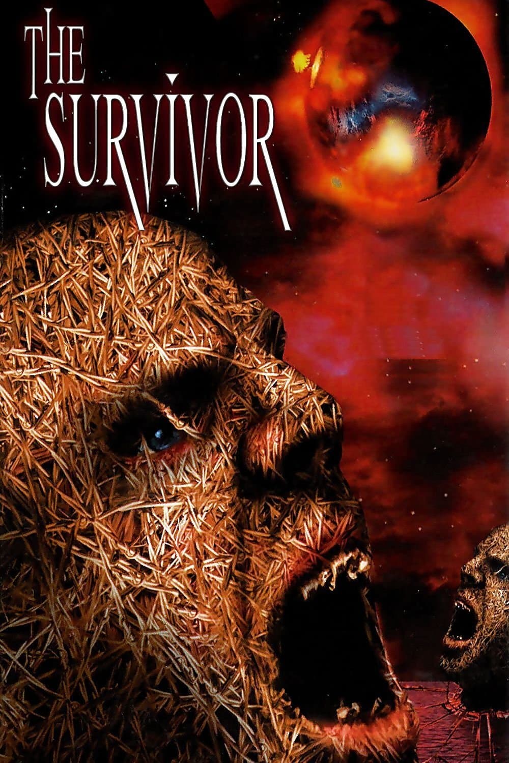 The Survivor photo