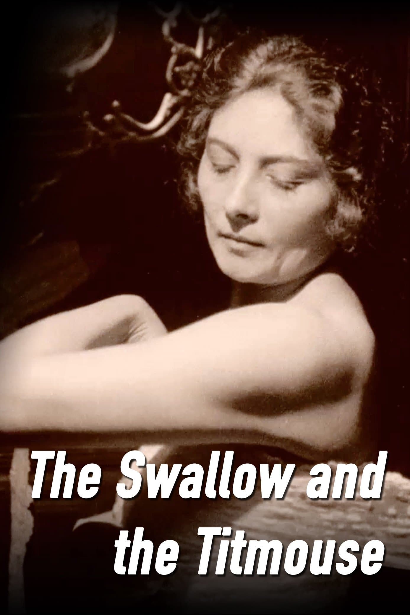 The Swallow and the Titmouse photo