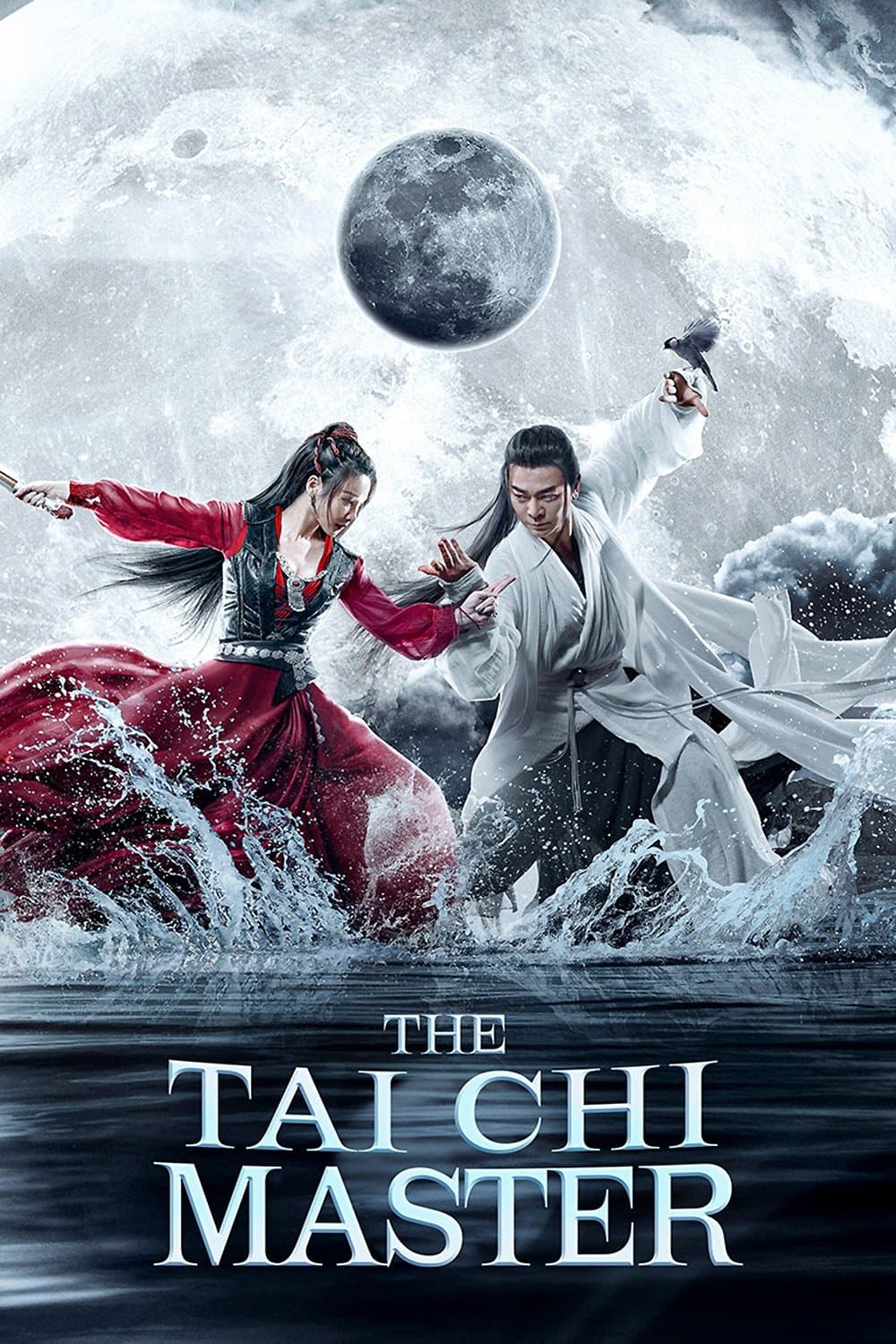 The Tai Chi Master photo