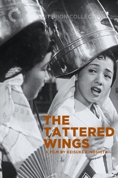 The Tattered Wings photo