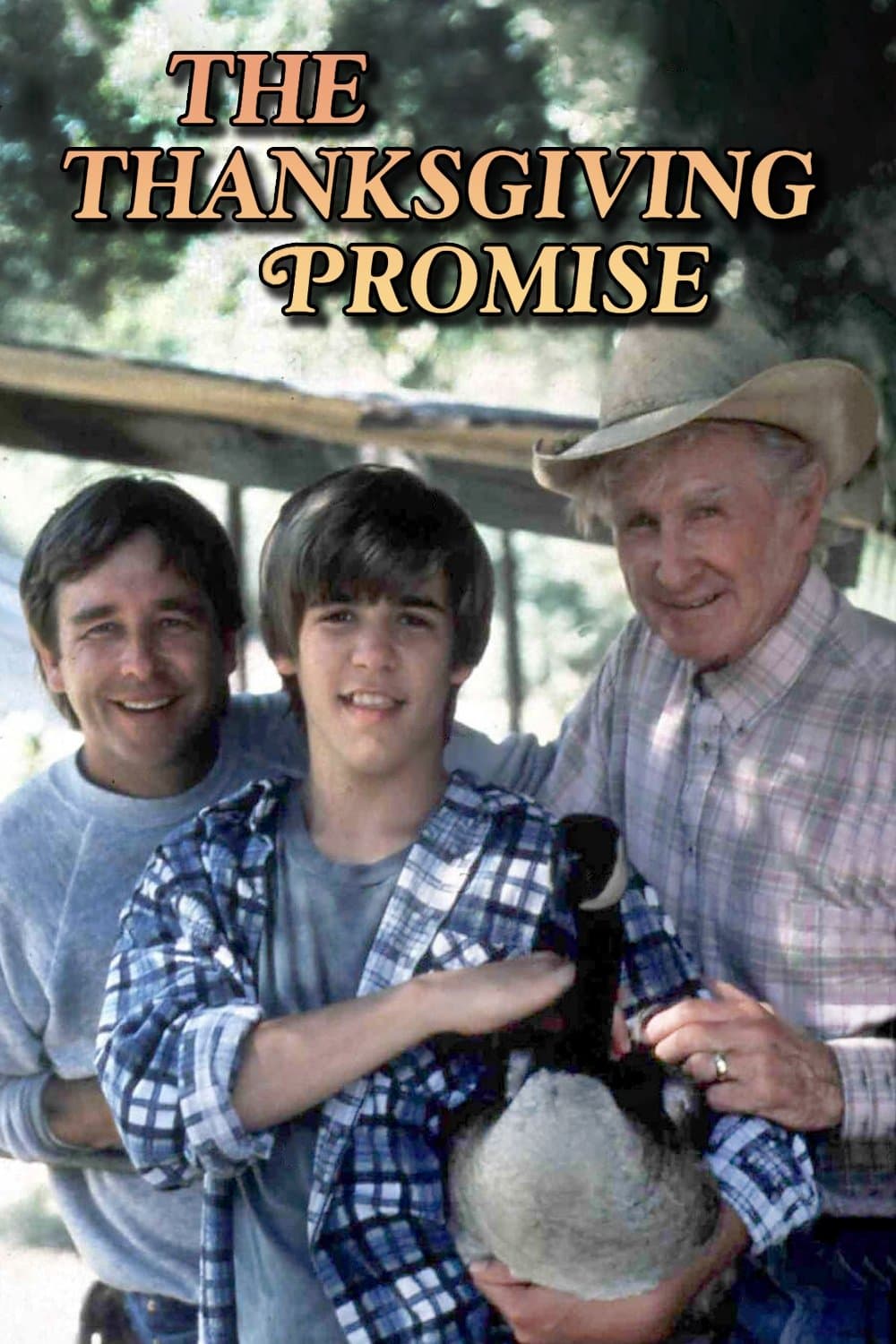 The Thanksgiving Promise photo