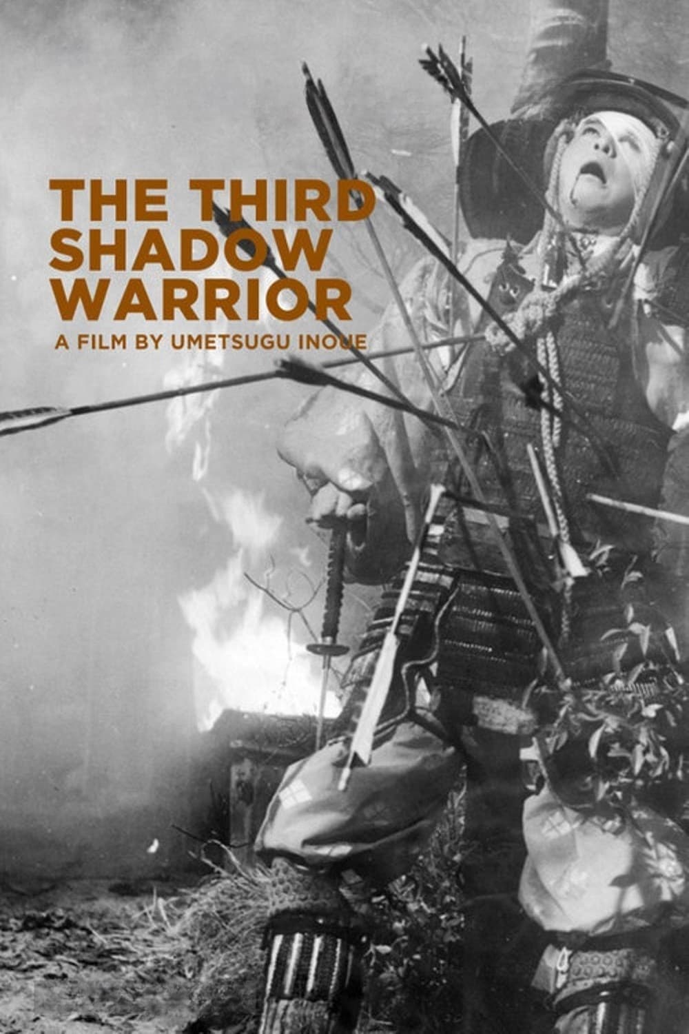 The Third Shadow Warrior photo