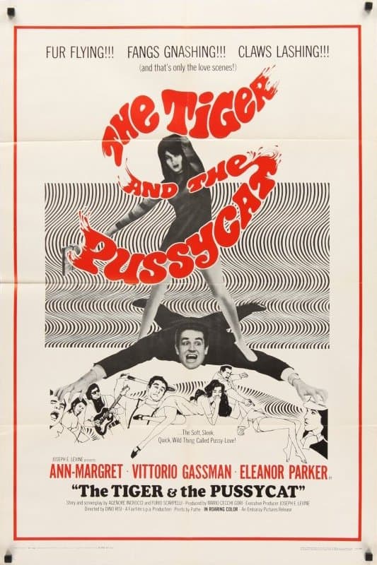The Tiger and the Pussycat photo