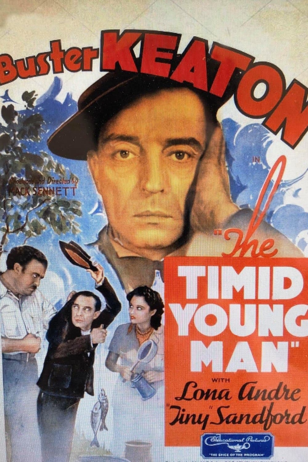 The Timid Young Man photo