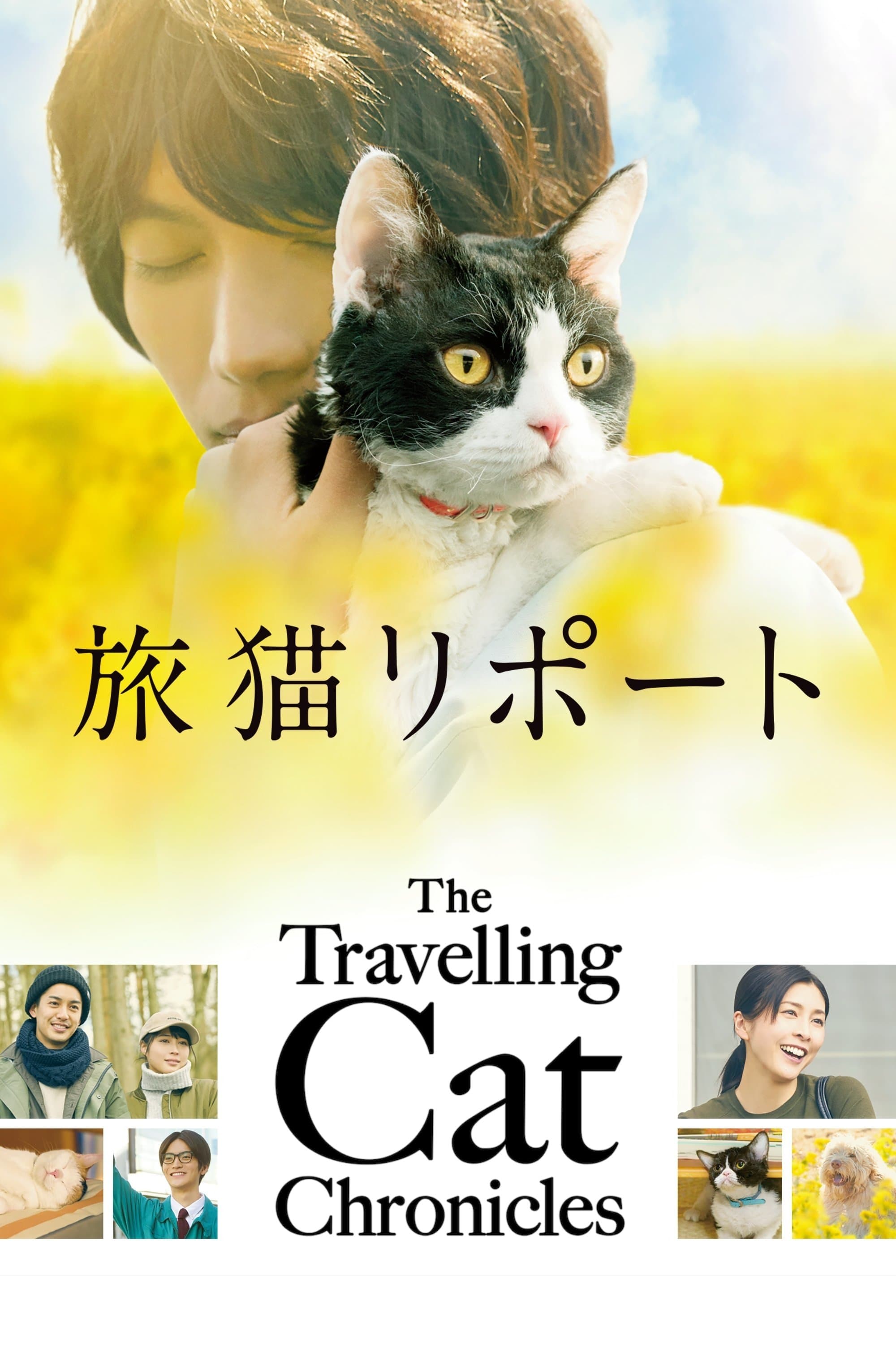 The Travelling Cat Chronicles photo