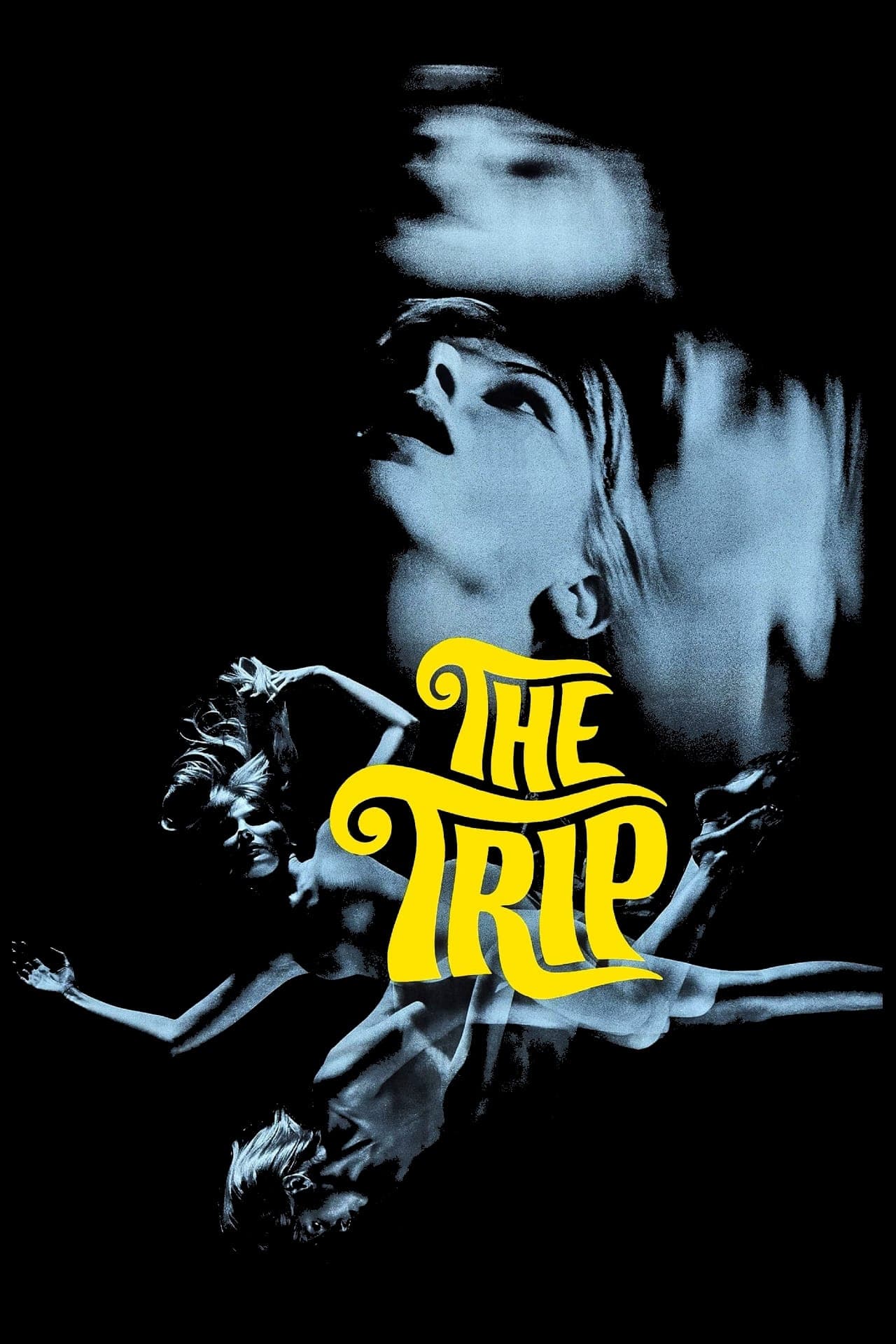 The Trip photo