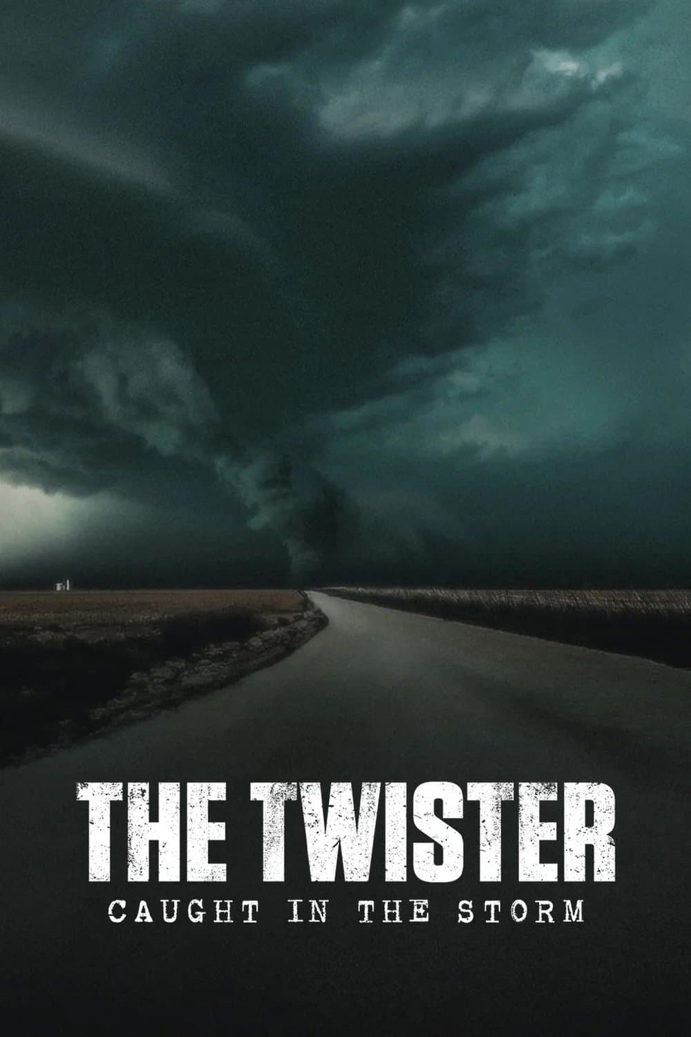 The Twister: Caught in the Storm photo