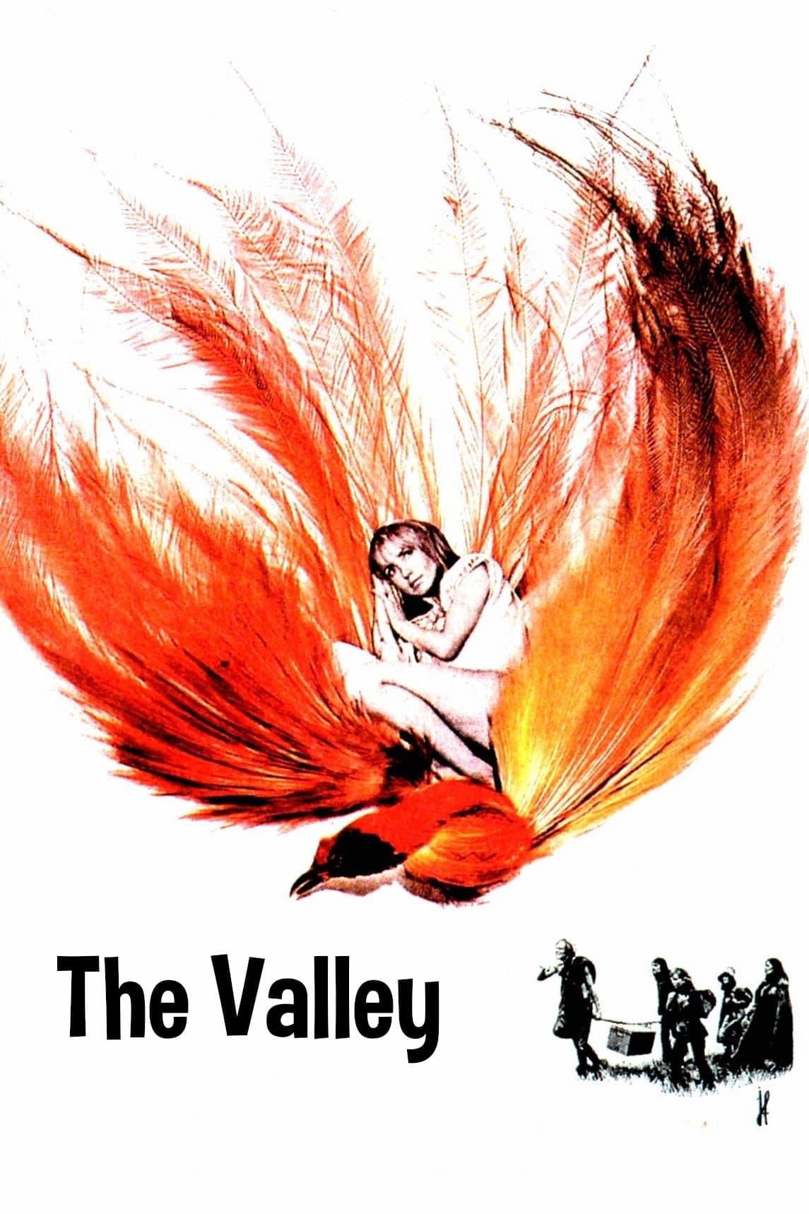The Valley photo