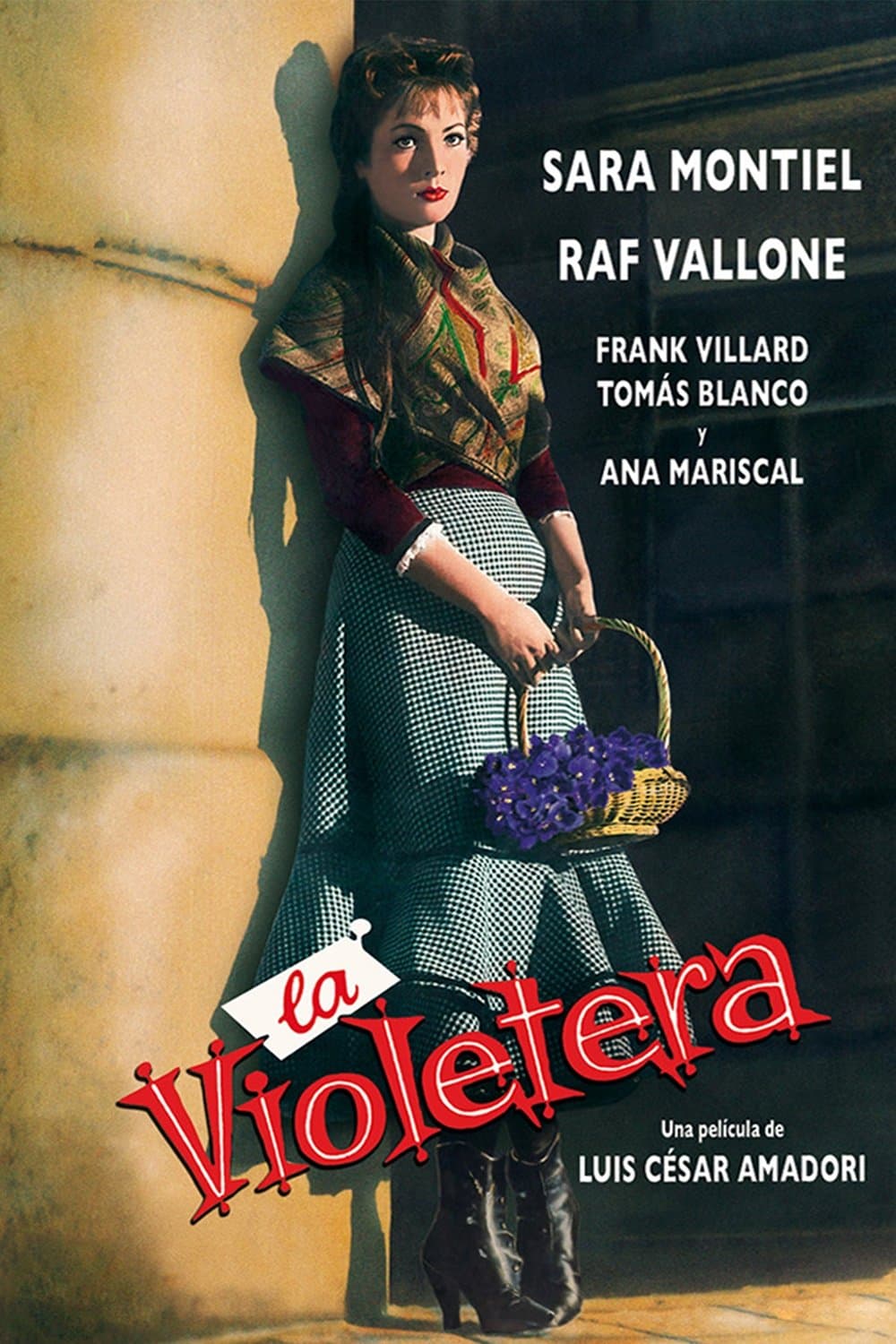 The Violet Seller photo