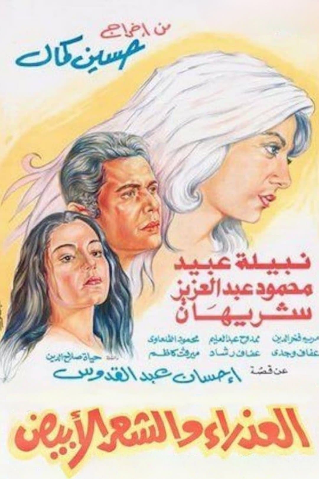 The Virgin and the Gray Hair photo