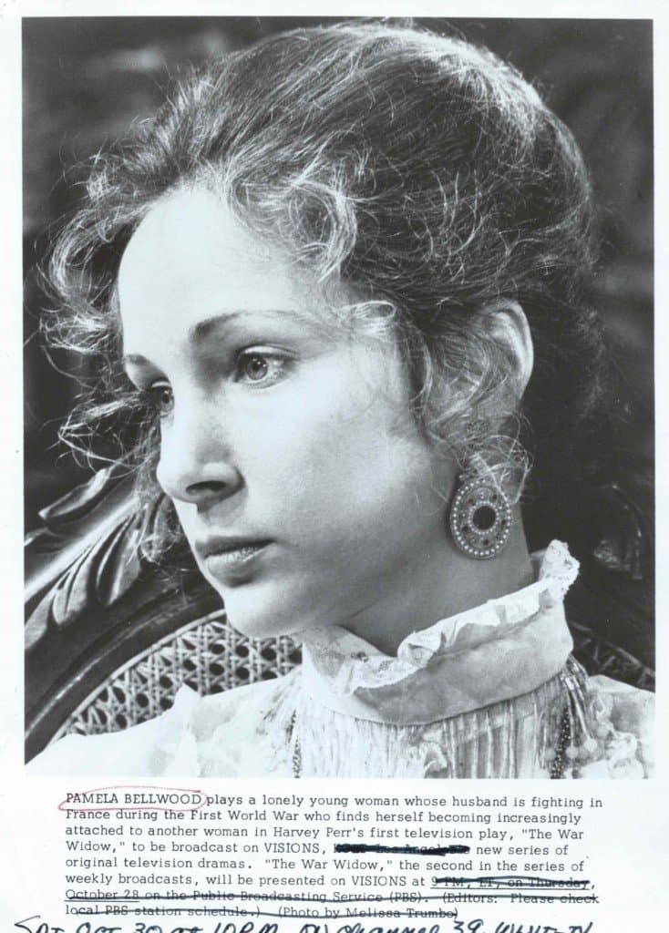 The War Widow photo