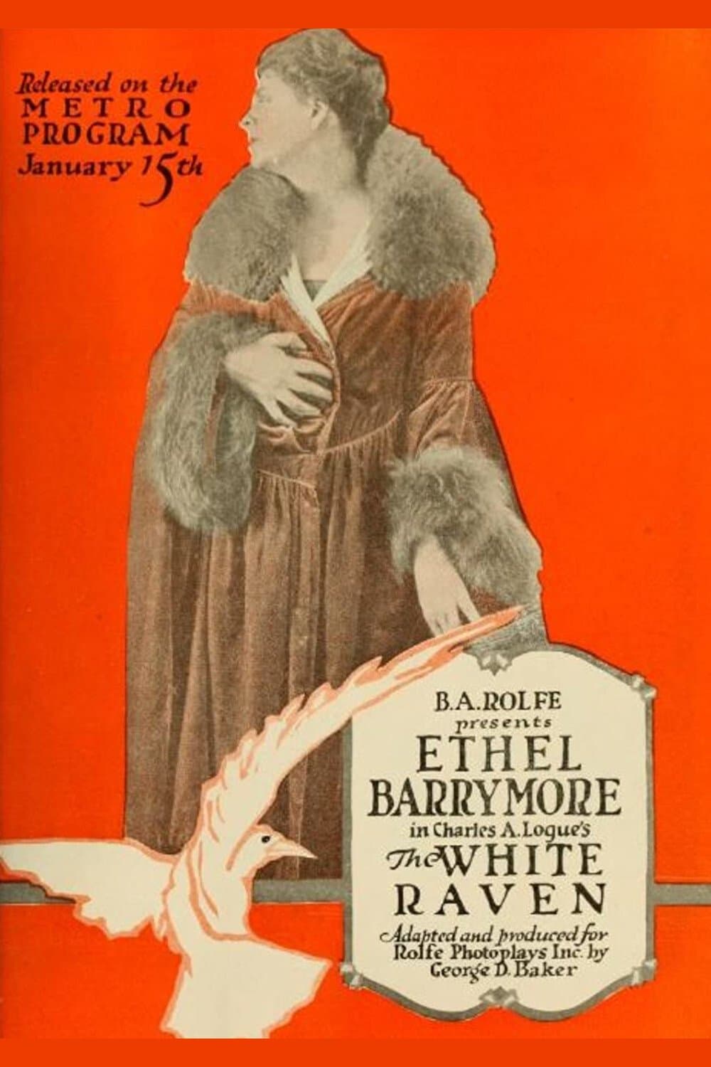The White Raven photo