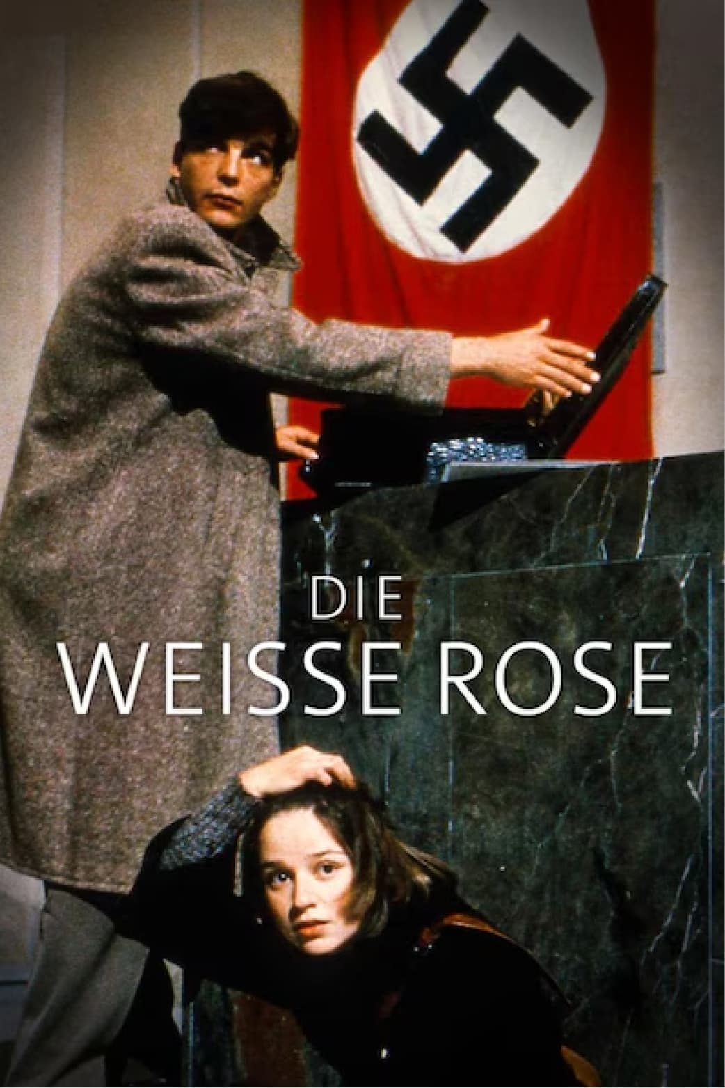 The White Rose photo