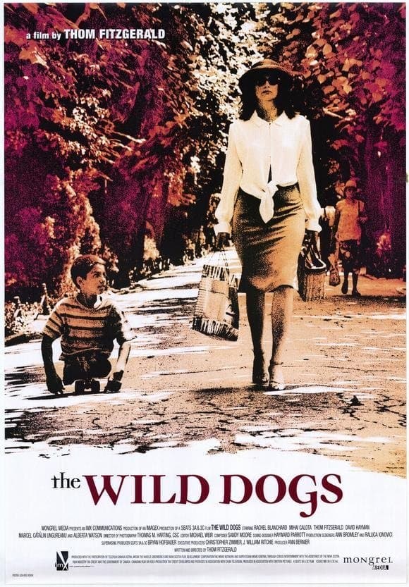 The Wild Dogs photo