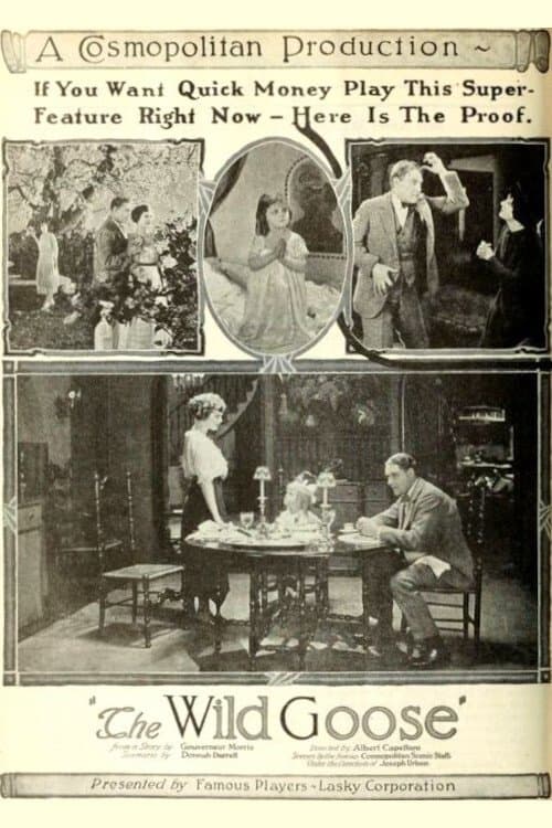 The Wild Goose photo